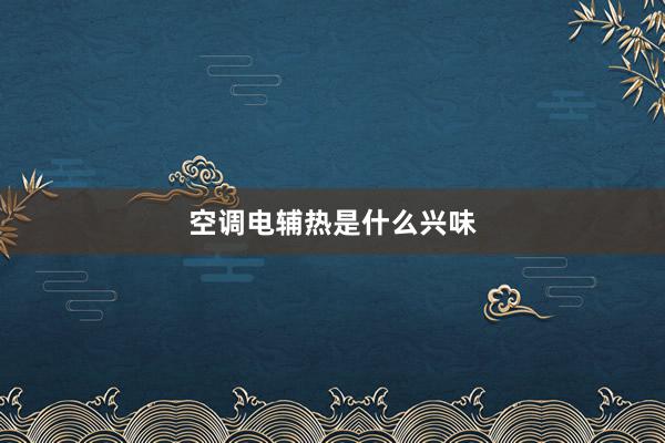 空调电辅热是什么兴味